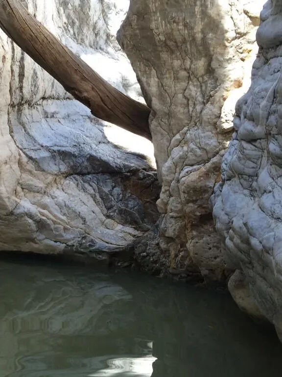 Naturaleza