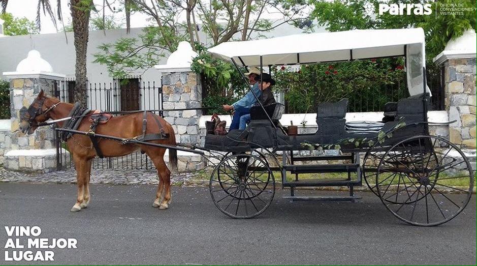 Paseo en Calandria