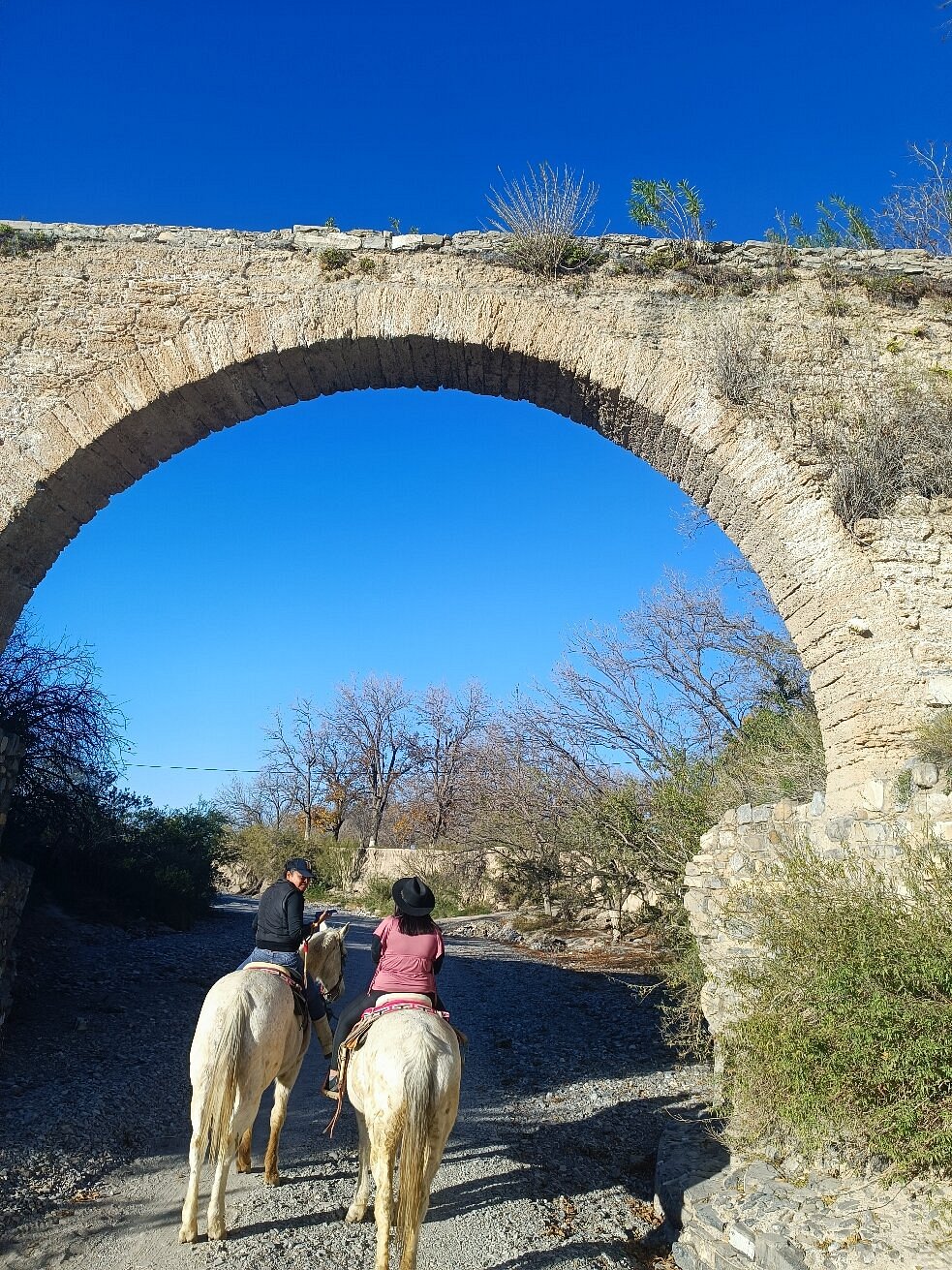 Cabalgatas Mundo Vaquero